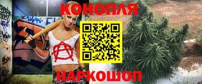 мяу мяу мука Вышний Волочёк