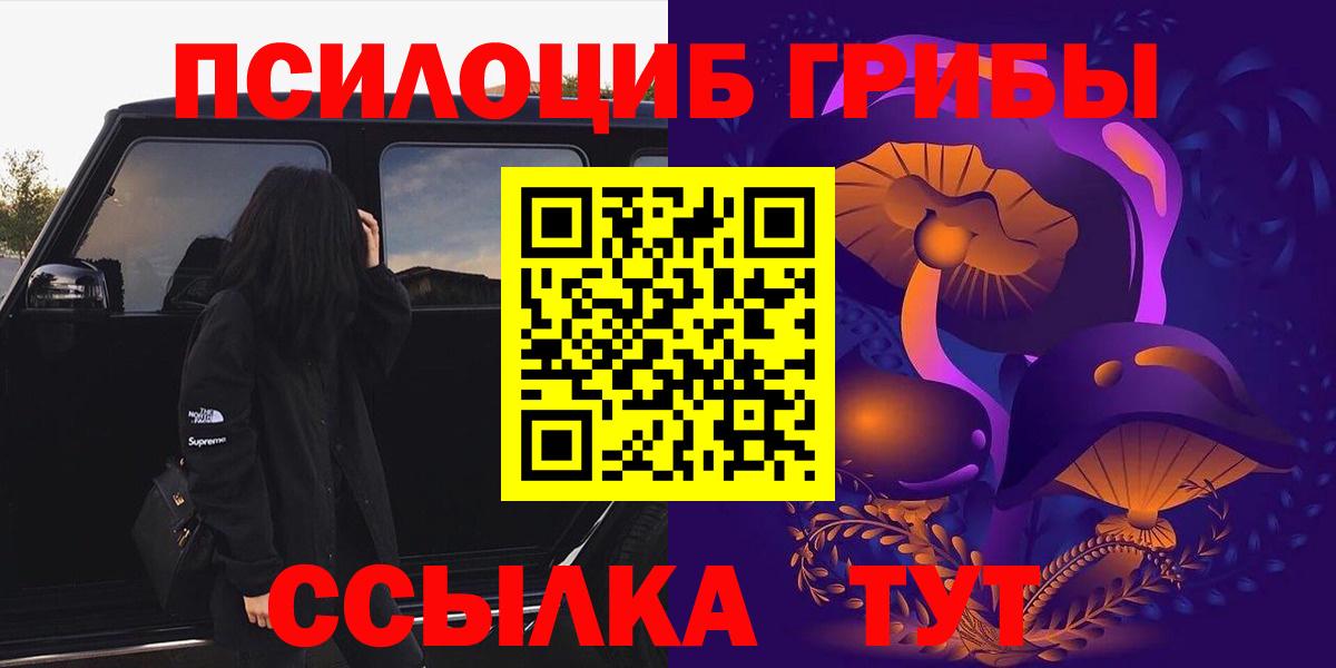 Псилоцибиновые грибы Psilocybe  где найти наркотики  Нижнеудинск  Вход с VPN 